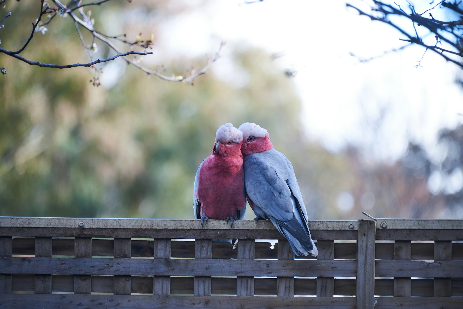 Finding Refuge in Marriage: Turning a Painful Past into Lifetime Love by @MargaretWhitford #love #past #marriage