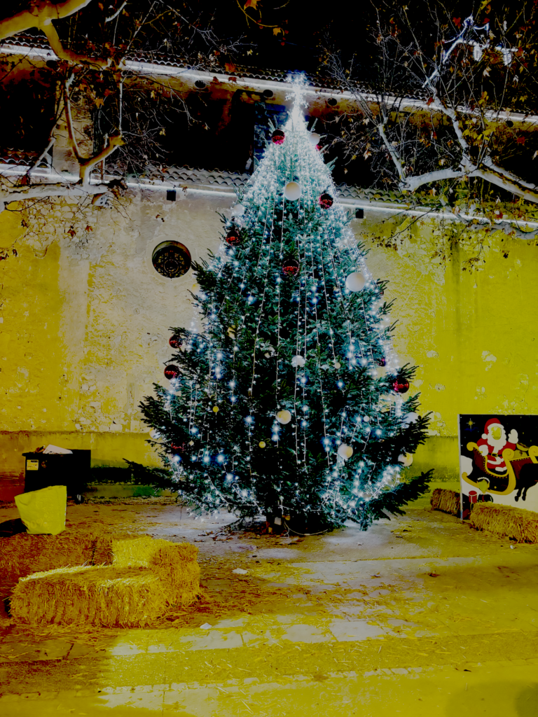 Winter in Provence: A Season of Stillness by Margaret Whitford, Author #winter #provence #stillness 